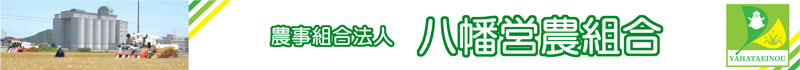 バナー画像